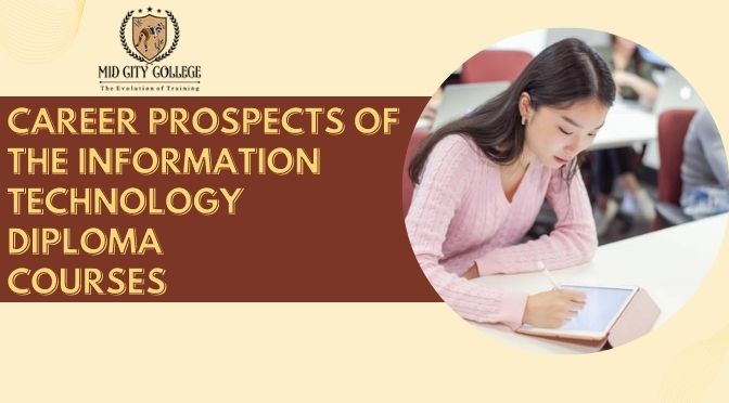 Career Prospects of the Information Technology Diploma Courses